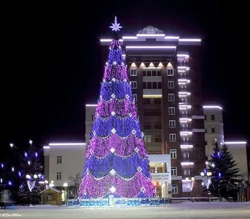 Новогодние елки во владимире