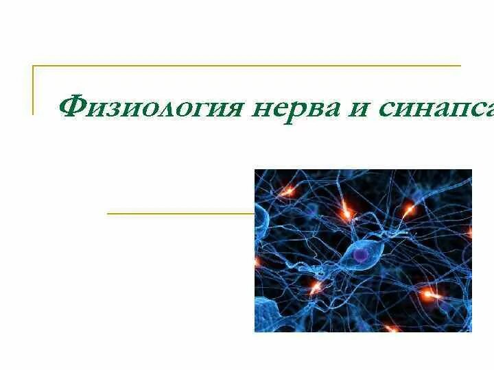Проводимость физиология нервные волокна. Анатомия нервной системы неврология. Физиология нервов. Нерв это физиология. Физиология нервов.
