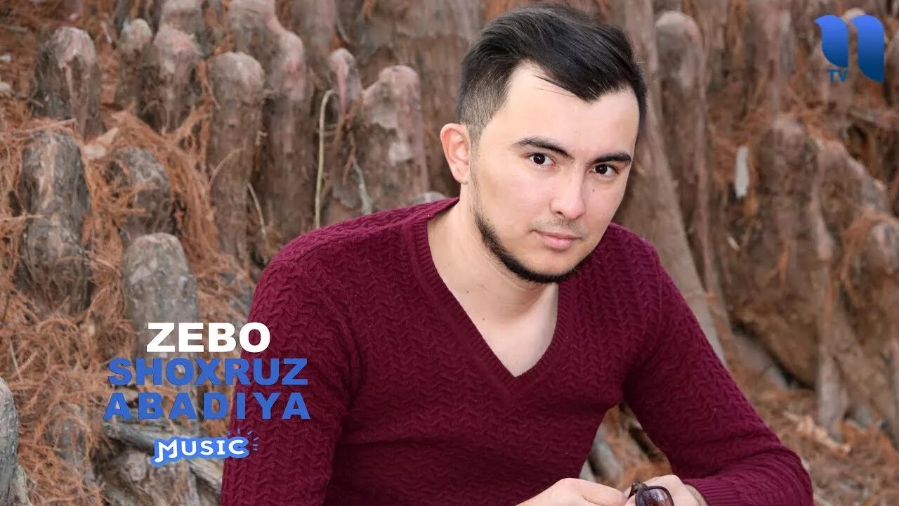 Zebo картинка. Захида. Зебо. Zebo vines. Zebo захида.