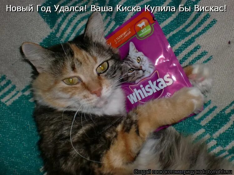 Ваша купила бы вискас. Жрет вискас. ваша киска хочет вискас. ваша киска купила бы вискас. ваша киска купила бы вискас реклама.