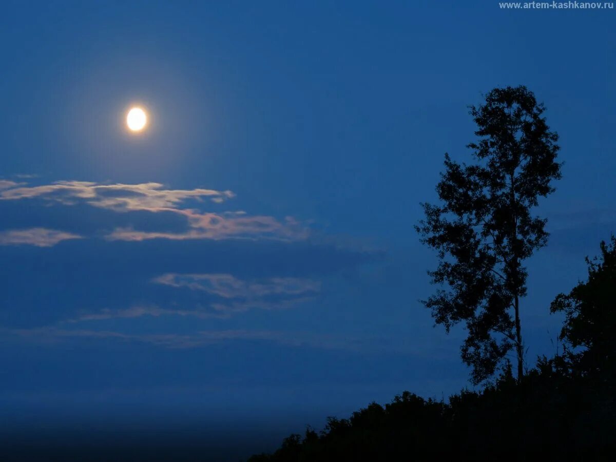 Ночное небо. Ночная тишь. Ночное небо с луной. Ночная Луна.