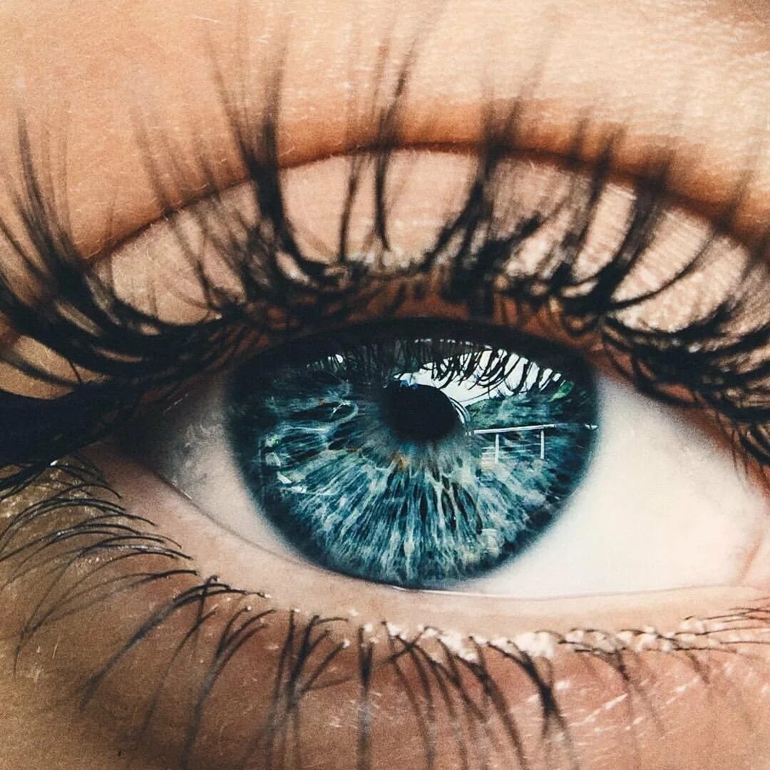 Разнообразие глаз. Красивые глаза. Голубые глаза. Синие глаза. Красивые голубые глаза.