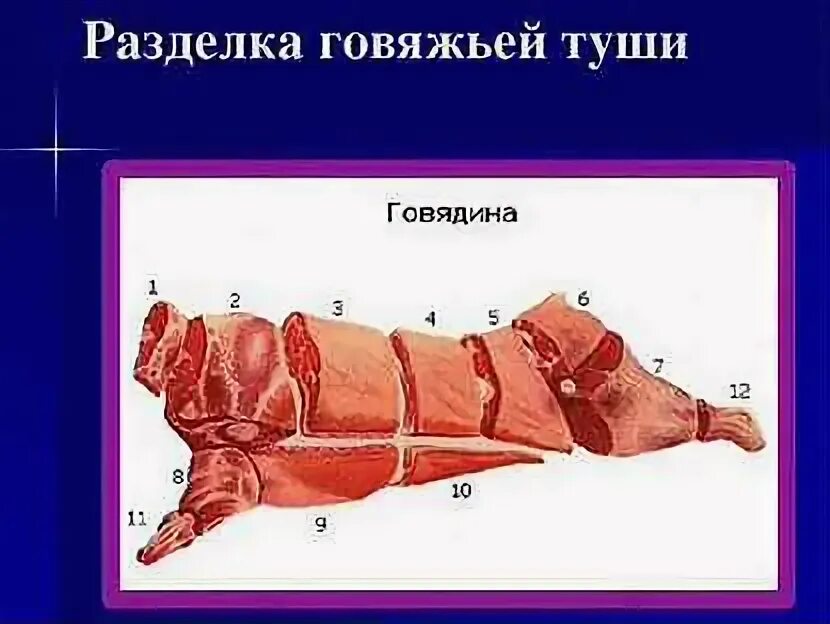 Свиная туша разруб. Схема кулинарной разделки туши говядины. Классификация схема разруба говяжьей туши. Разруб свиной туши корейка. Сортовая разрубка свиной туши.
