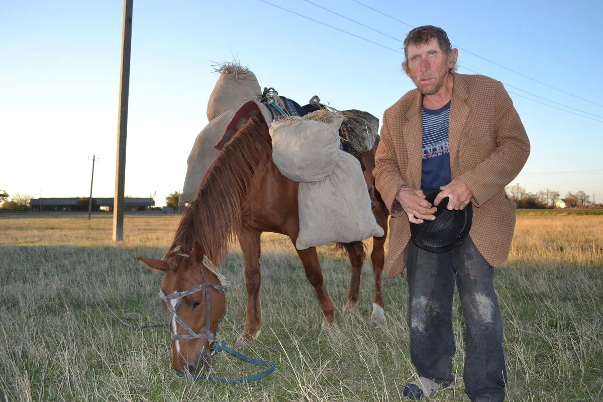 работа конюхом. конюшня в тарханах. конюх с лошадью. работа конюхом. фишер конюх.