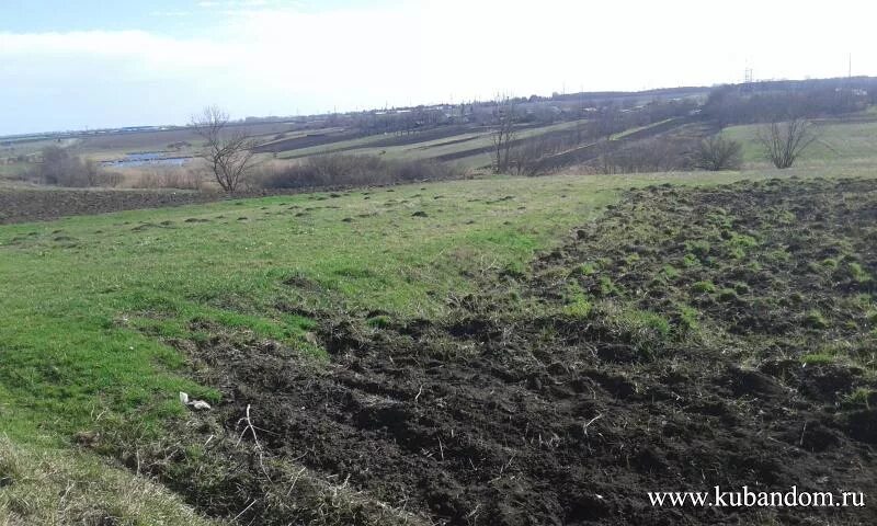 Станица терновская краснодарский край тихорецкий