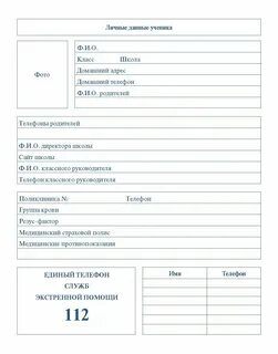 Персональные данные ученика школы