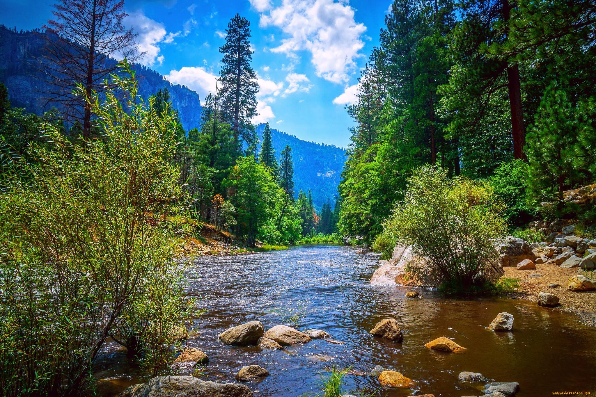 Природа обновилась. Река Мерсед. Река Мерсед фото. Река Мерсед, Калифорния. Горная река.