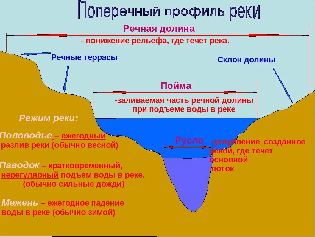 Пойма что это такое. Русло Пойма Речная Долина. Продольный и поперечный профиль реки. Русло реки Пойма Речная Долина. Поперечный профиль Долины реки.