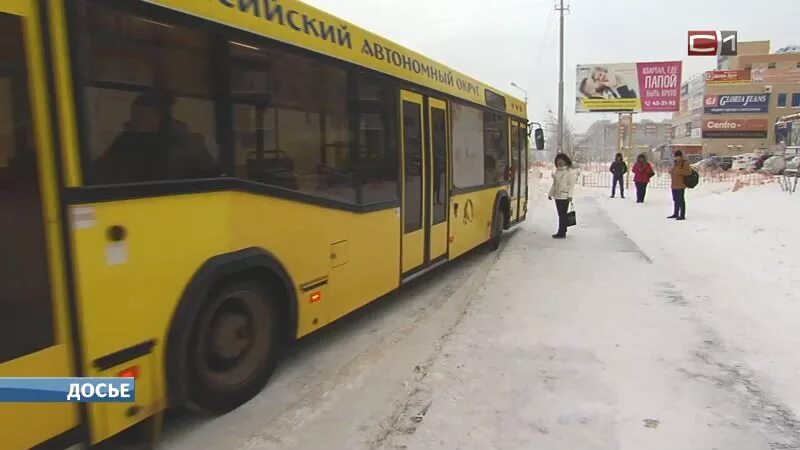 Общественный транспорт сургут новости. Сургутский автобус. Автобусы Сургут. Общественный транспорт Сургут. ЗАПСИБАВТО автобусы.