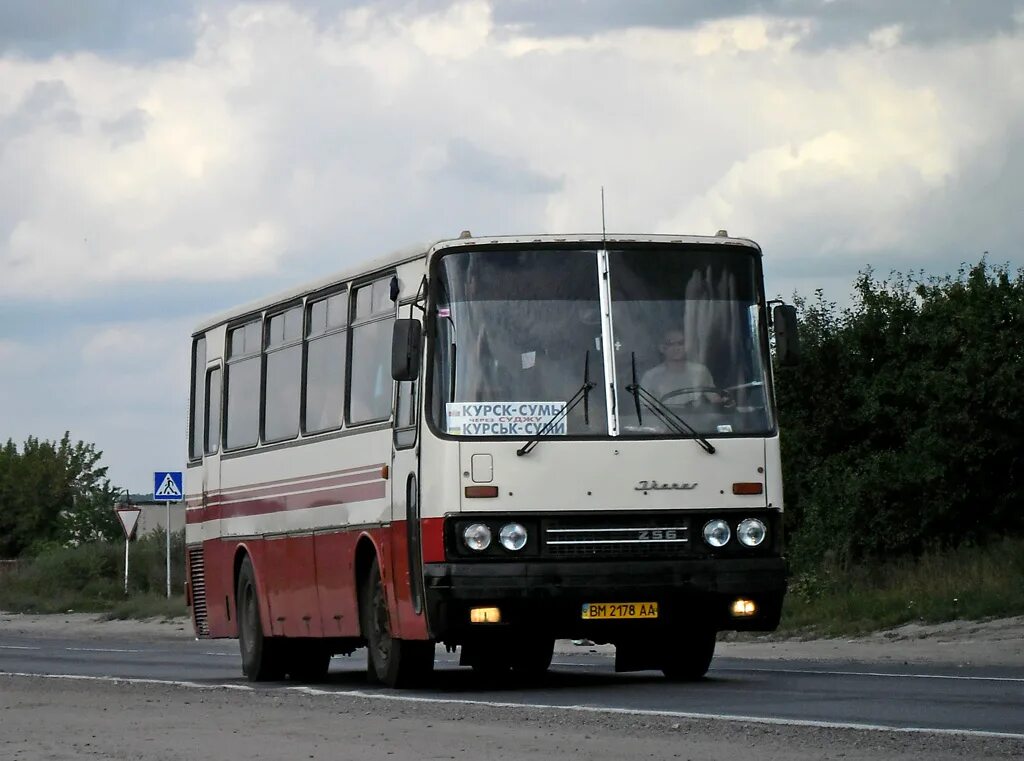 Курск сумы. Икарус Сумской области. Сумы Курск. Курск Сумы автобус. Автобус Сумы.