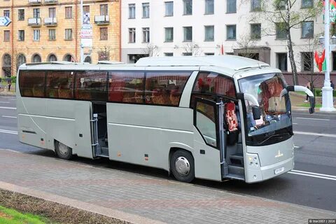 251 автобус спб