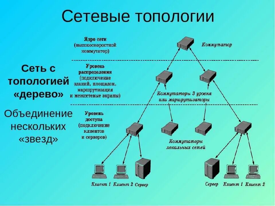 Сеть насколько. Коммутатор 3 уровня топология сети. Коммутатор l3 на схеме. Коммутатор уровня ядра сети. Уровни коммутаторов.