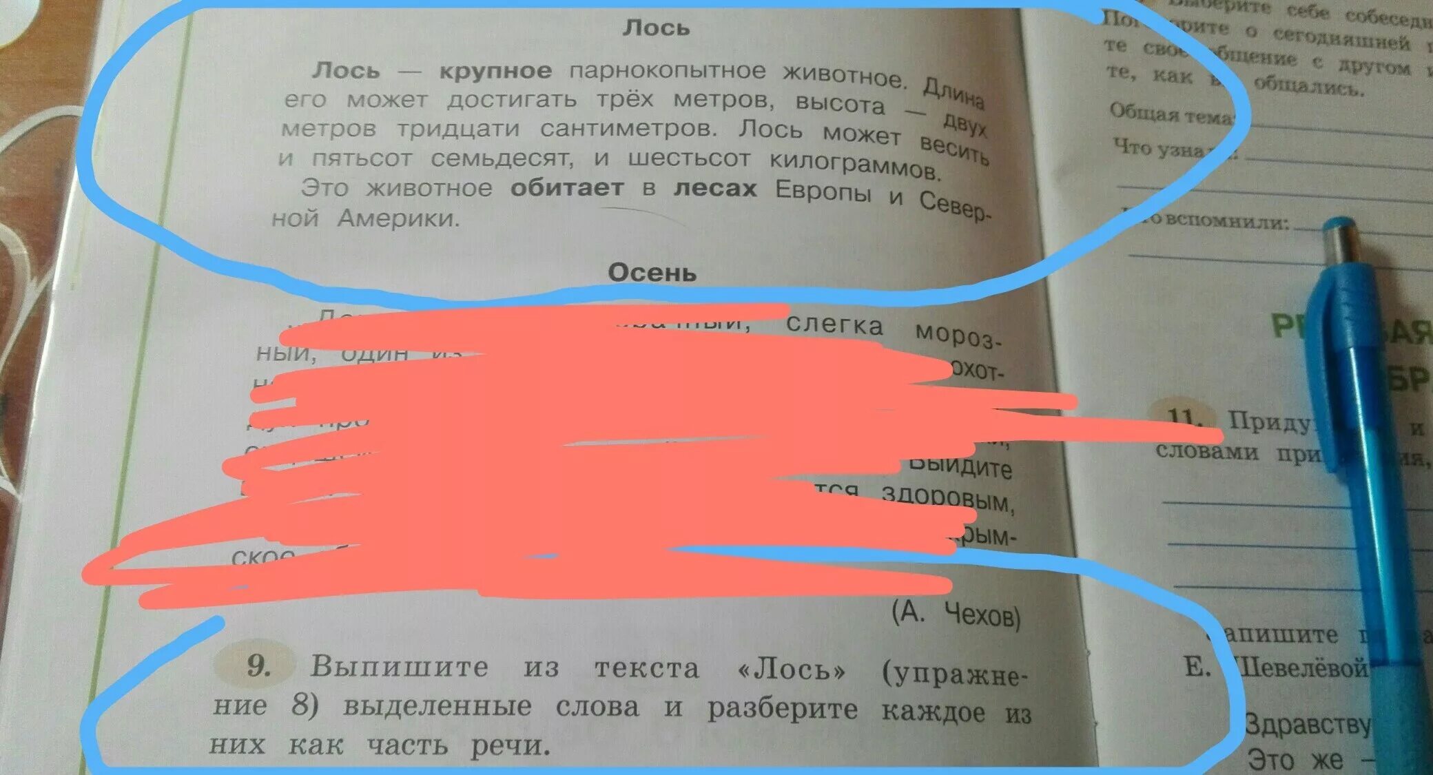 Ария лося дайте. Ария лося текст. Разбор слова Лось. Ария лося дайте танк. Дайте танк слова паразиты Ария лося.