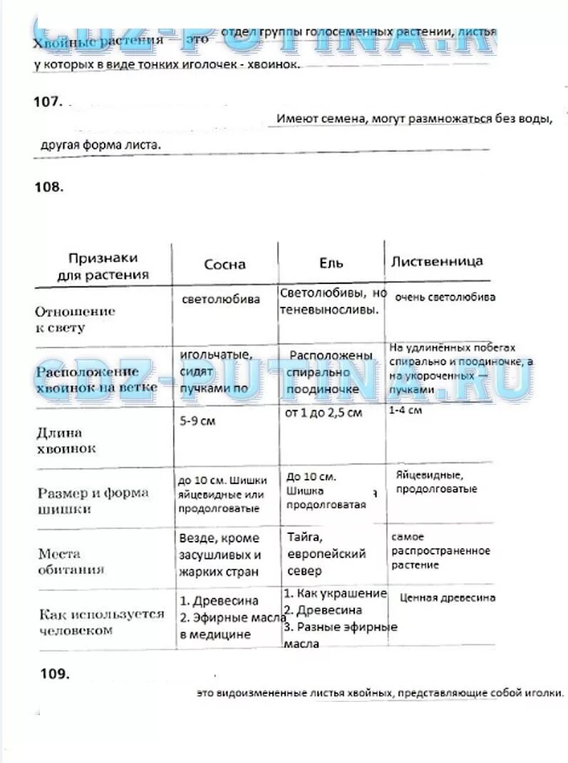 Строение хвои и шишек хвойных таблица. Лабораторная работа по биологии 5 класс таблица. Таблица по биологии 5 класс строение хвои и шишек. Биология таблица строения хвои и шишек хвойных. Моя лаборатория биология 5 класс параграф 18