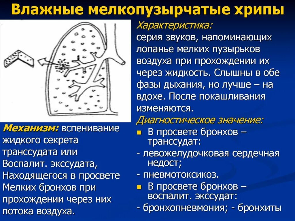 Кашель воздух дыхание. Механизм образования мелкопузырчатых хрипов. Влажные хрипы в легких. Мелкопузырчатые хрипы в легких. Влажные хрипы в лёгких.