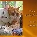 Не встречайся с ним