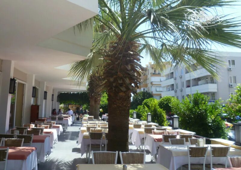 Клеопатра бич алания турция. Kleopatra golden beach. Kleopatra golden beach. Отель cleopatra golden beach 4. Клеопатра голден бич отель 4 турция аланья.