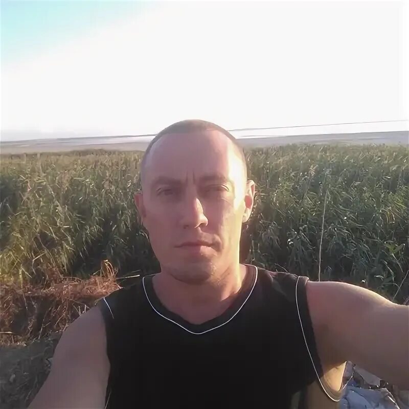 Белков чехов