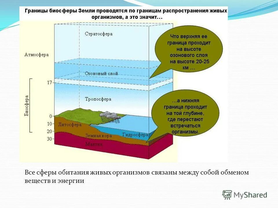 Слова на тему биосфера. Биосфера границы биосферы. Границы биосферы схема. Верхняя граница биосферы. Границы биосферы в пределах атмосферы.