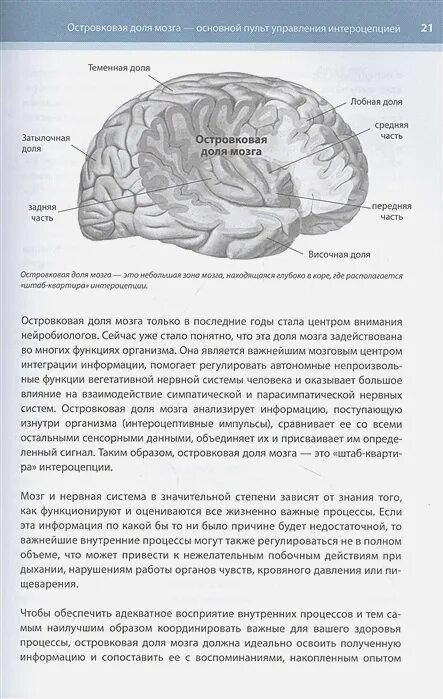 Книга тело мозг