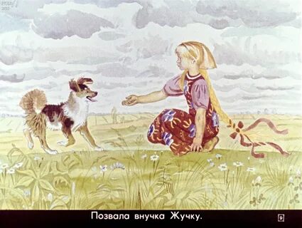 Жучка