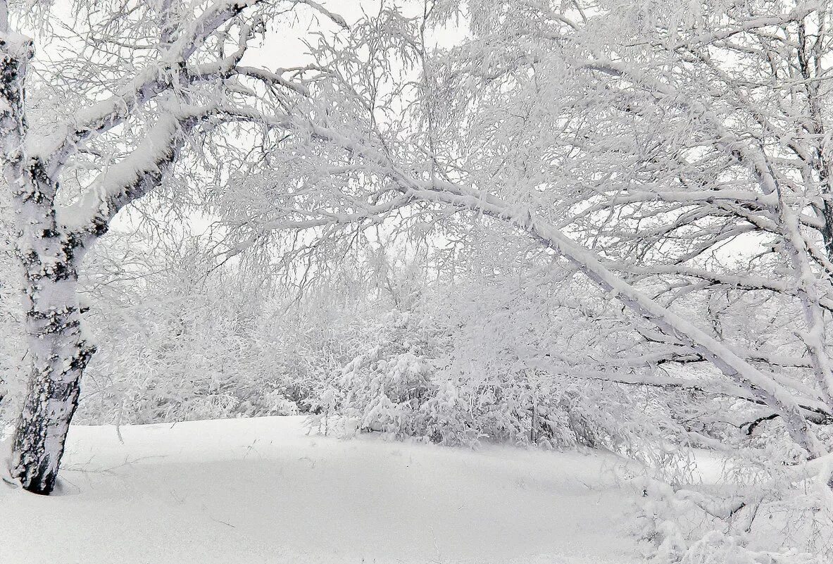 зима снег идет. зима снегопад. снег идет. снег мешками валит с неба с дом стоят сугробы снега. зимняя пороша.