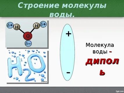 Вода биология 10 класс