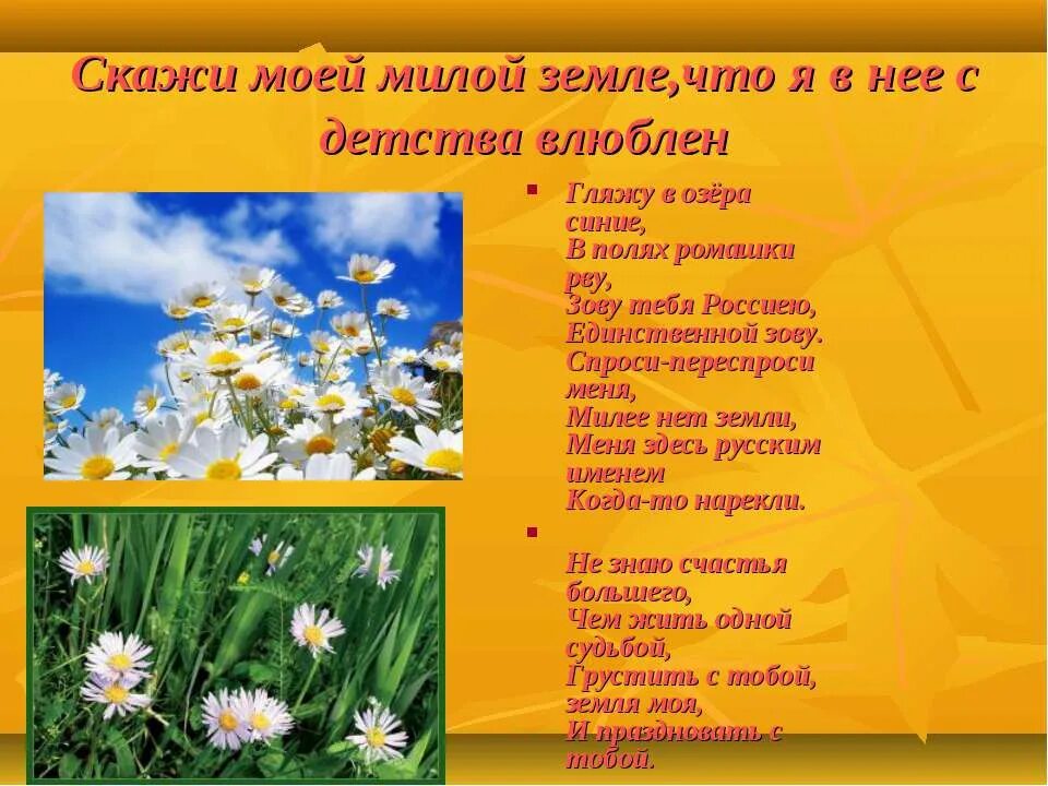 Песня зову тебя. Гляжу в озера синие текст. гляжу в озера синие текс. гляжу в озёра синие текст песни. гляжу в озёра синие, в полях ромашки рву, зову тебя россиею,.