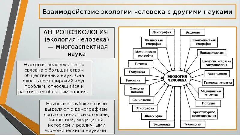 Взаимодействие экологии с другими науками. Взаимосвязь экологии человека с другими науками. Экология и другие науки. Место экологии человека в системе наук. Взаимодействие экологии и философии