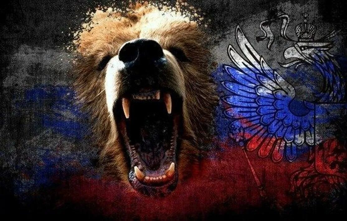 Русский экран на телефон. Медведь Россия. Российский флаг с медведем. Медведь на фоне российского флага. Я русский медведь.