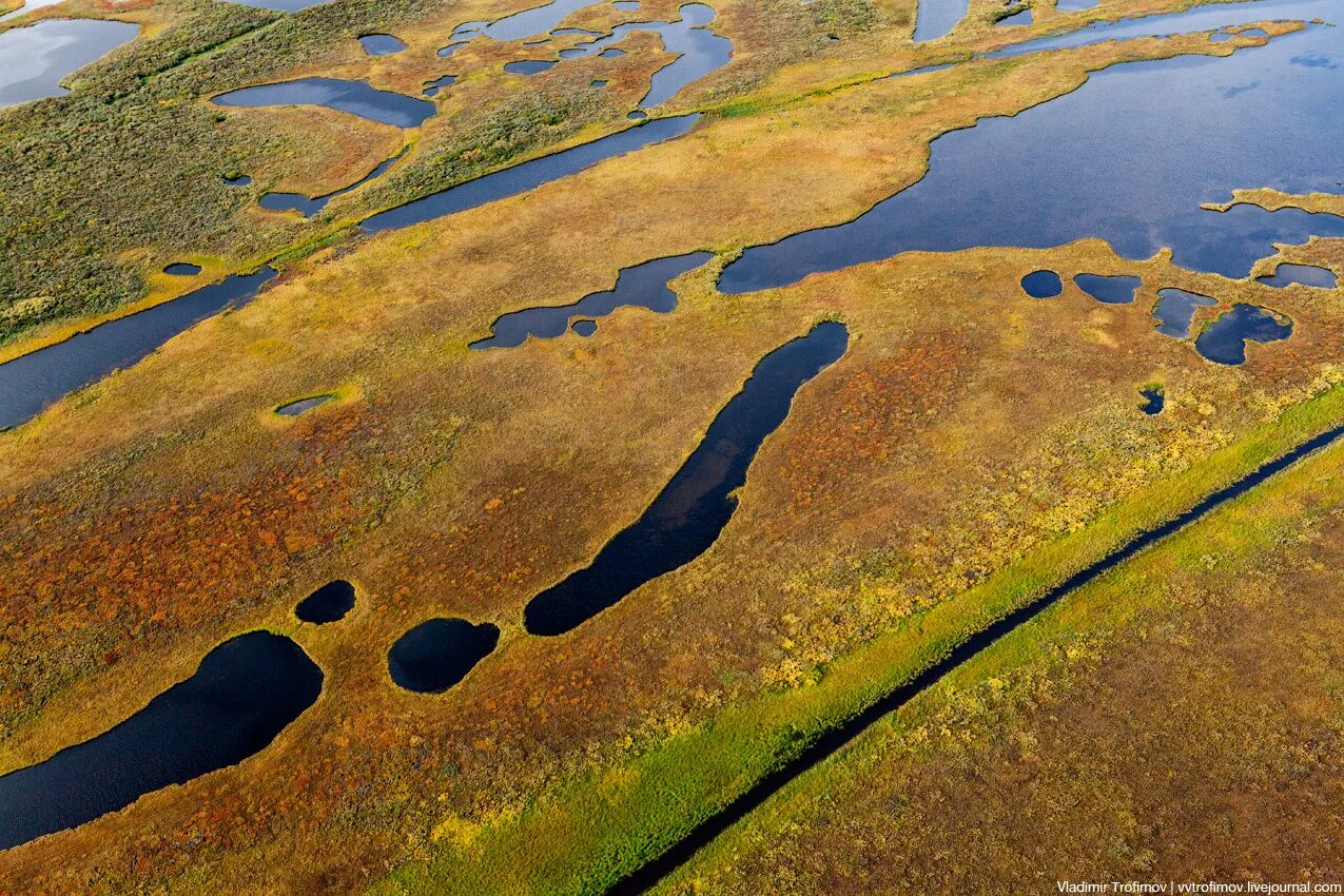 Воды тундры в россии. Термокарстовые озера Таймыр. Термокарстовые озера космоснимок. Термокарст (термокарстовое озеро. Термокарст Ямал.