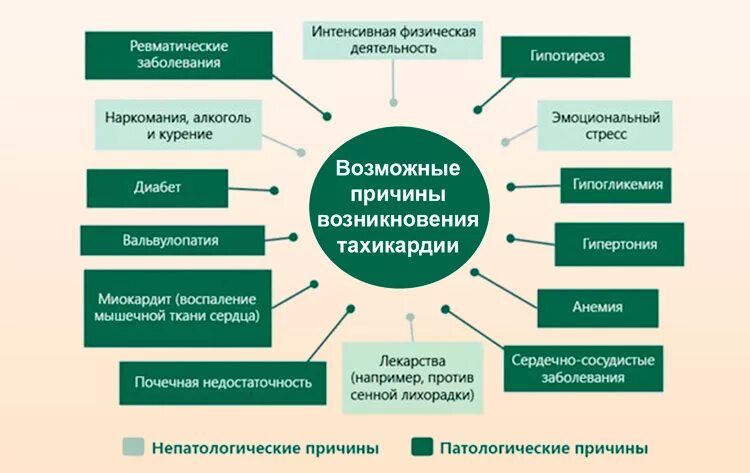 Тахикардия причины возникновения. Причины ускоренного сердцебиения. Тахикардия причины возникновения у женщин. Усиленное сердцебиение причины.