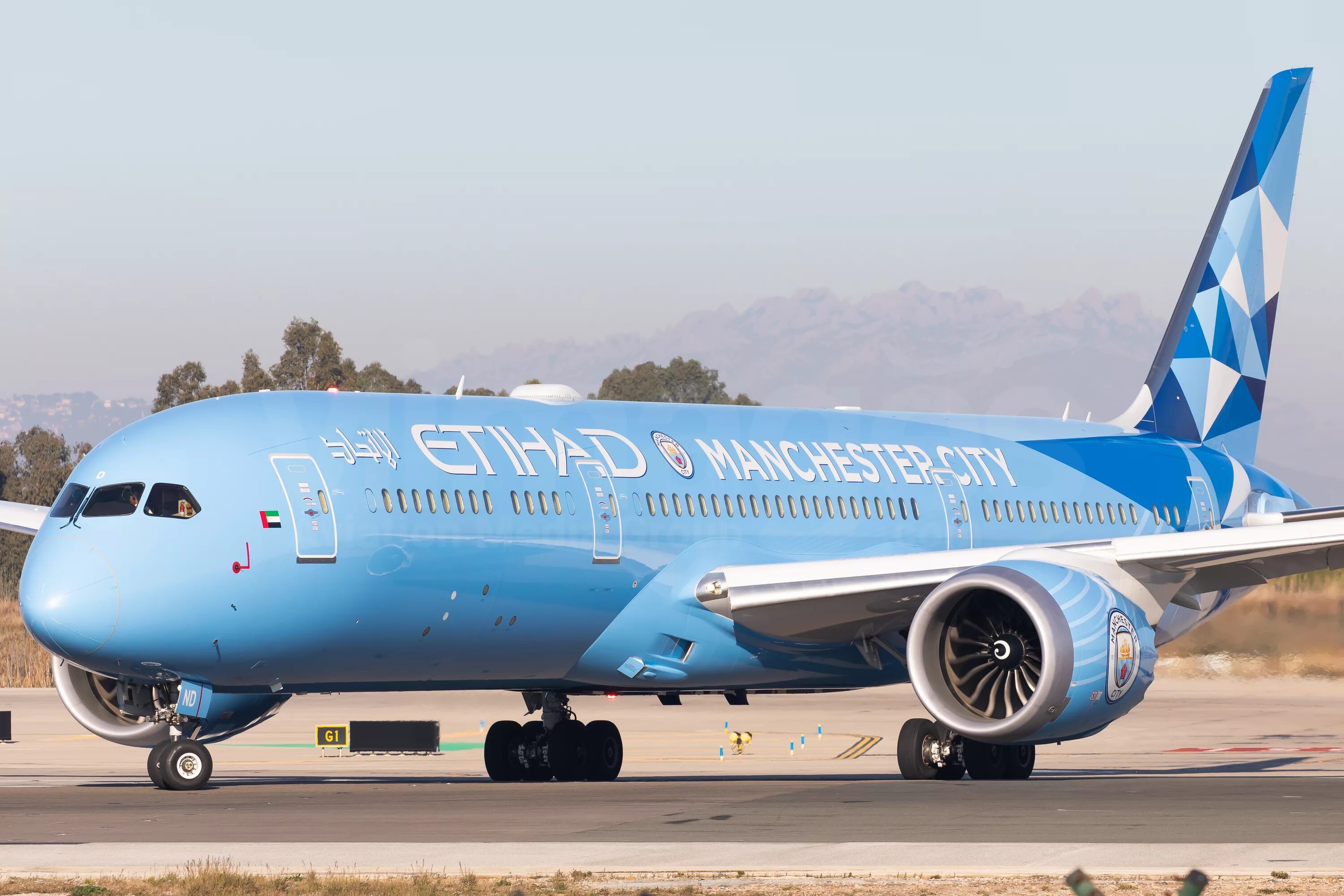 Boeing 787 9 dreamliner. Боинг 787-9. Боинг 787-9 Этихад. Боинг 787 Этихад. Боинг 787-9 Дримлайнер Etihad.