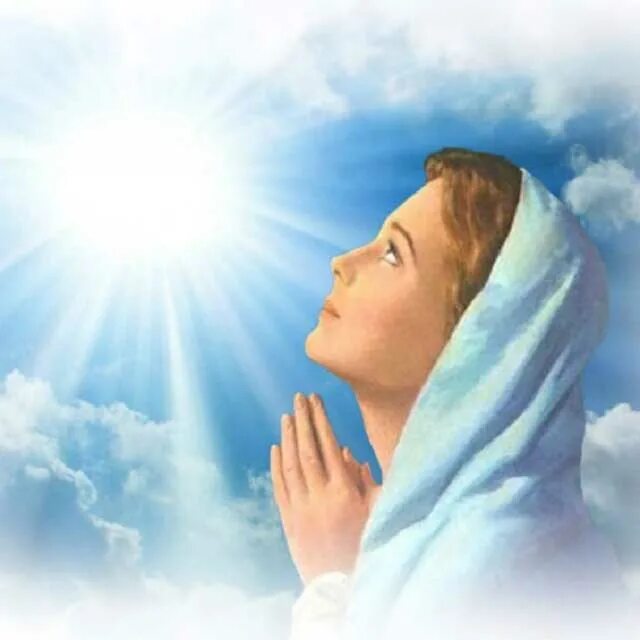 Женщина молится. Обращение к Богу. Молиться Богу. Господь молится. Молитва неба и земли