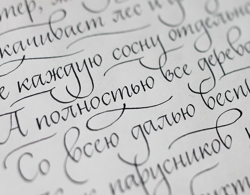 Писать тексты шрифт. Красивый почерк. Красивый почерк на русском. Каллиграфия. Каллиграфический почерк.