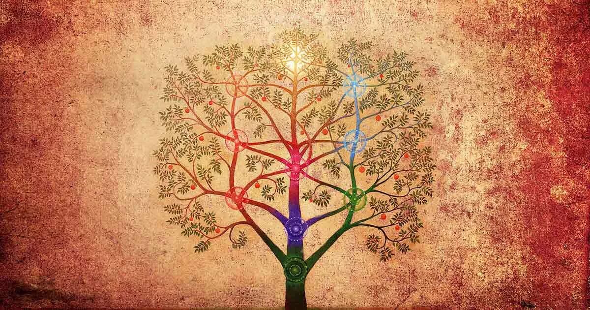 медитация древо жизни. Gammatrap. дерево рисунок. жозефина уолл дерево тысячелетия. Destiny 2 gammatrap.
