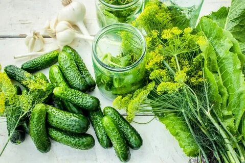 Соленые огурцы с чесноком и зеленью