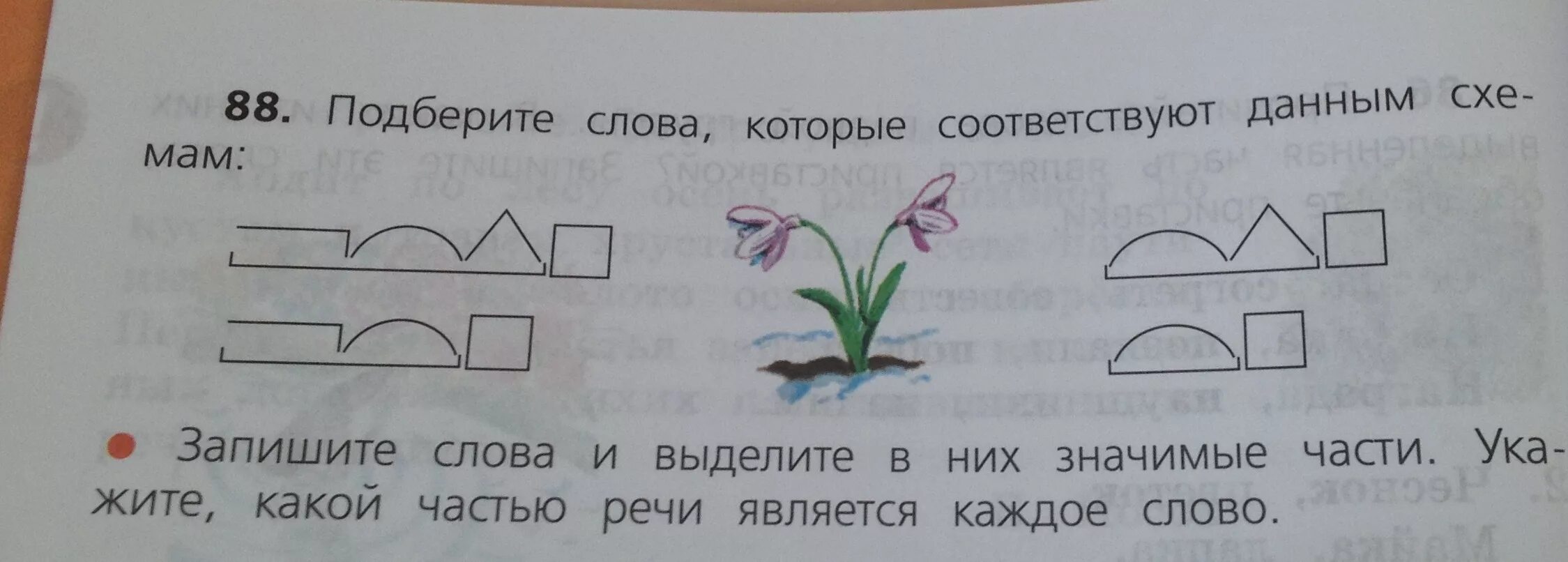 Запиши по приведенному образцу. Подобрать слова к схеме. Слова которые соответствуют схеме. Слова соответствующие схеме. Подбери к каждому слову подходящую схему..