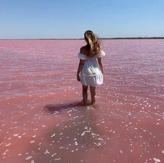Ннов Нн в Instagram: &quot;В живую ещё красивее 😍 Озеро с розовой солью ...
