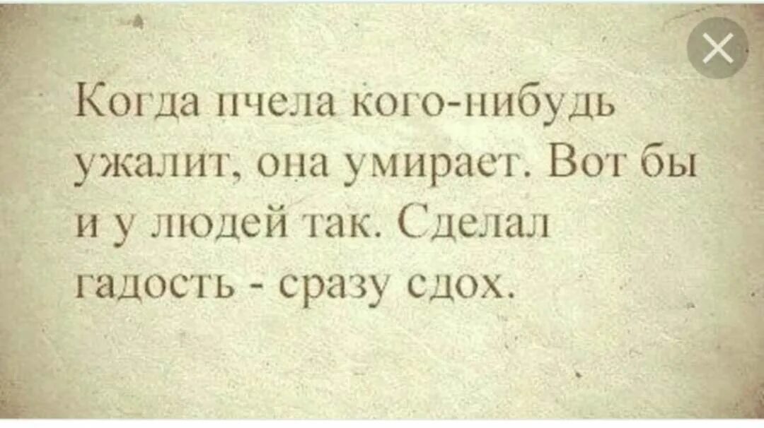 Анекдоты про гнилого человека. Кто то делает гадости. Кто то делает гадости. Кто то делает гадости. Статусы про людей которые делают пакости.