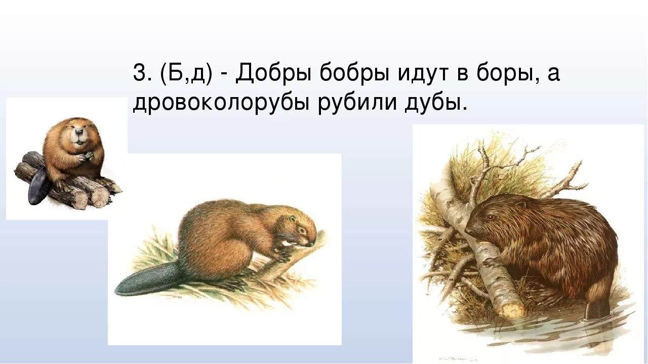 Скороговорка про бобров. Добры бобры идут в боры скороговорка. Бобр идёт. Бобры идут в боры. Бобры ходят.