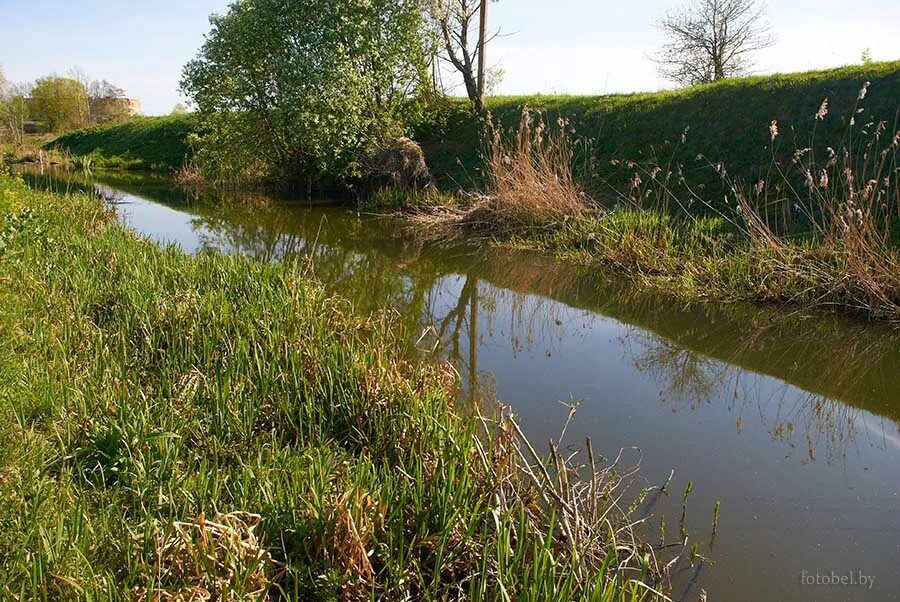 левый приток реки щара 4 буквы