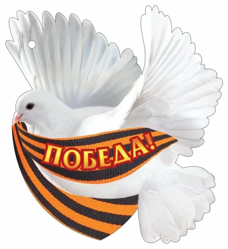Распечатать голубей к 9 мая. Голубь с георгиевской лентой. день победы голуби. голуби на 9 мая. голубь символ победы.