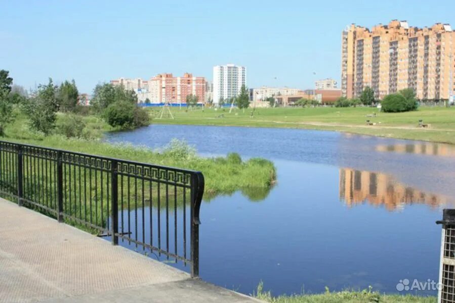 парк новый оккервиль кудрово. парк оккервиль кудрово. оккервиль санкт петербург парк. река оккервиль кудрово. оккервиль санкт петербург парк.