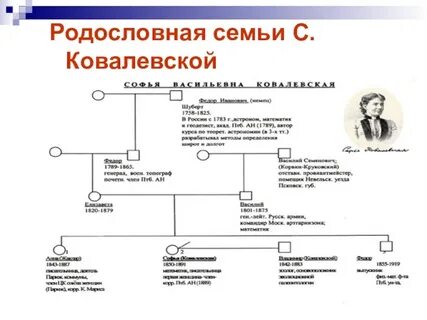 Генеалогический сайт