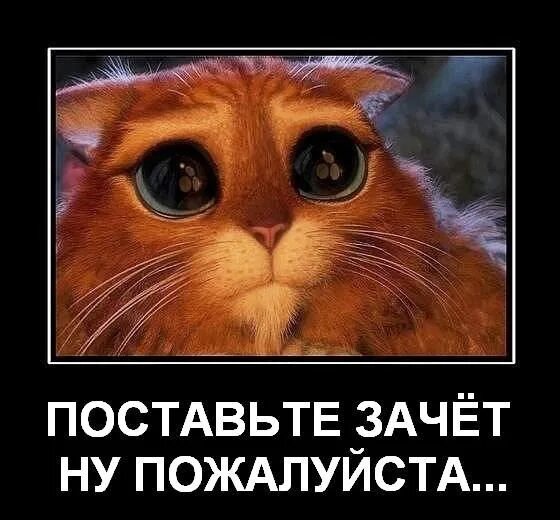 Пожалуйста как ее зовут. Поставьте зачет пожалуйста. картинка поставьте зачет. поставьте зачет мем. ну поставьте зачет пожалуйста.