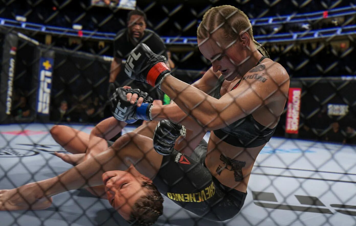 Ufc без правил. Ufc без правил