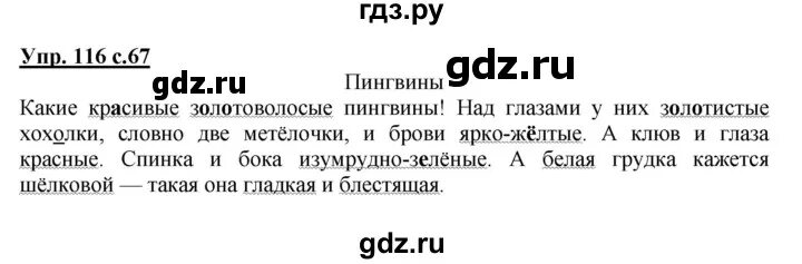 Русский язык 3 класс 2 часть упражнение 116. Гдз по русскому языку 2 урок 116. Русский язык 3 класс 2 часть страница 67 упражнение 116. Домашнее задание 3 класс 2 часть по русскому языку упражнение 116. Урок 116 русский язык 3 класс