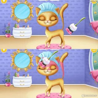 Cat hair salon birthday