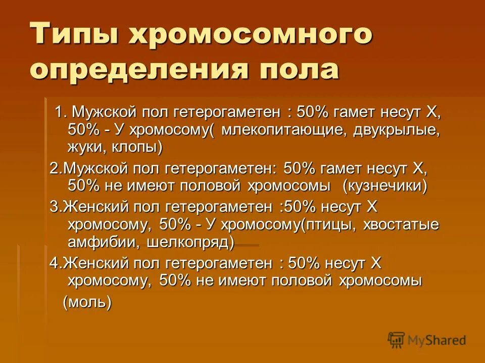 Всегда ли мужской пол является гетерогаметным